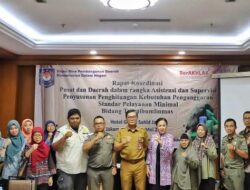 Ditjen Bina Bangda Jelaskan Empat Tahapan Penerapan SPM